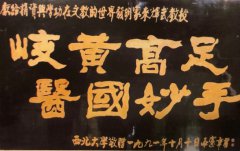 创造世界医学史上的奇迹（之二）---505 來輝武