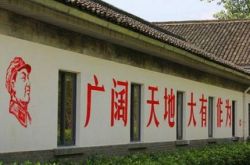 刘强东做农村电商：是生意，还是情怀？